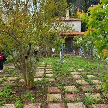 Saint Anna Country House. בית נופש